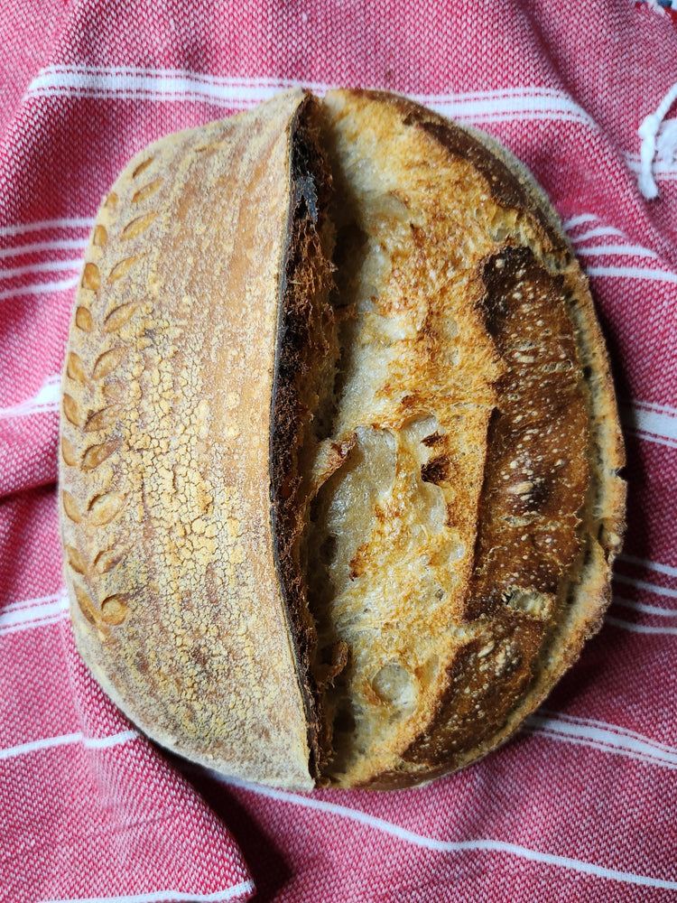 Artisan Breads & Rolls
