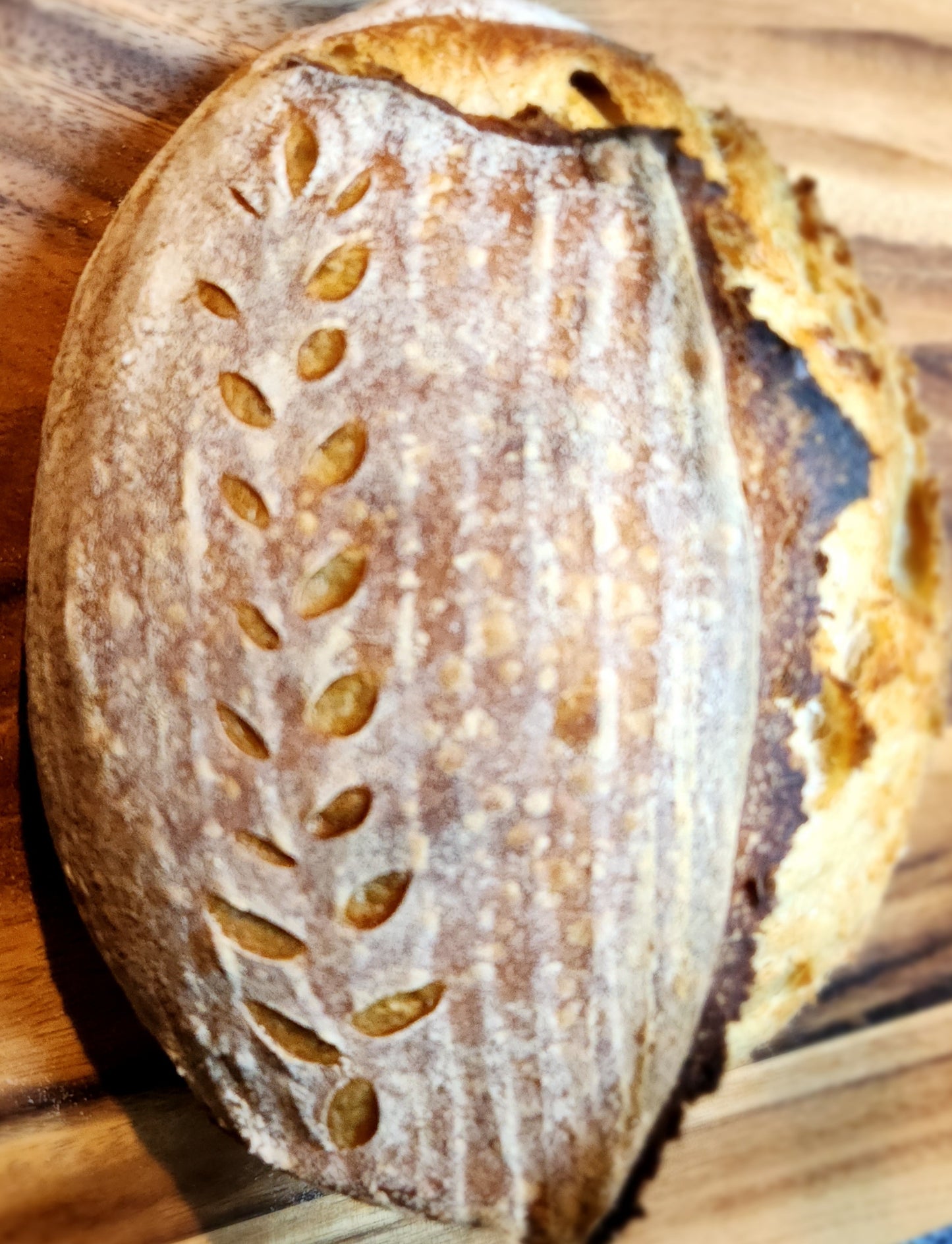 Sourdough Artisan Bread