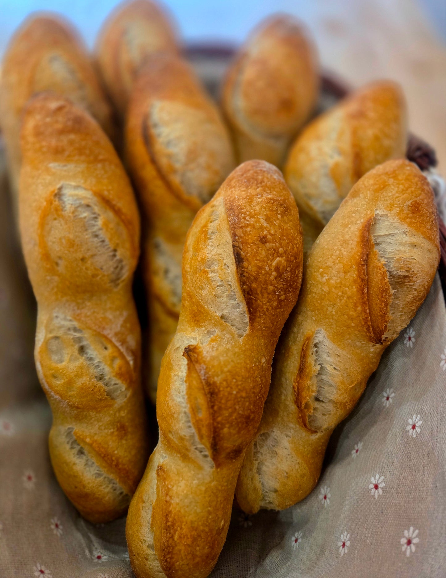 Sourdough Demi-baguettes
