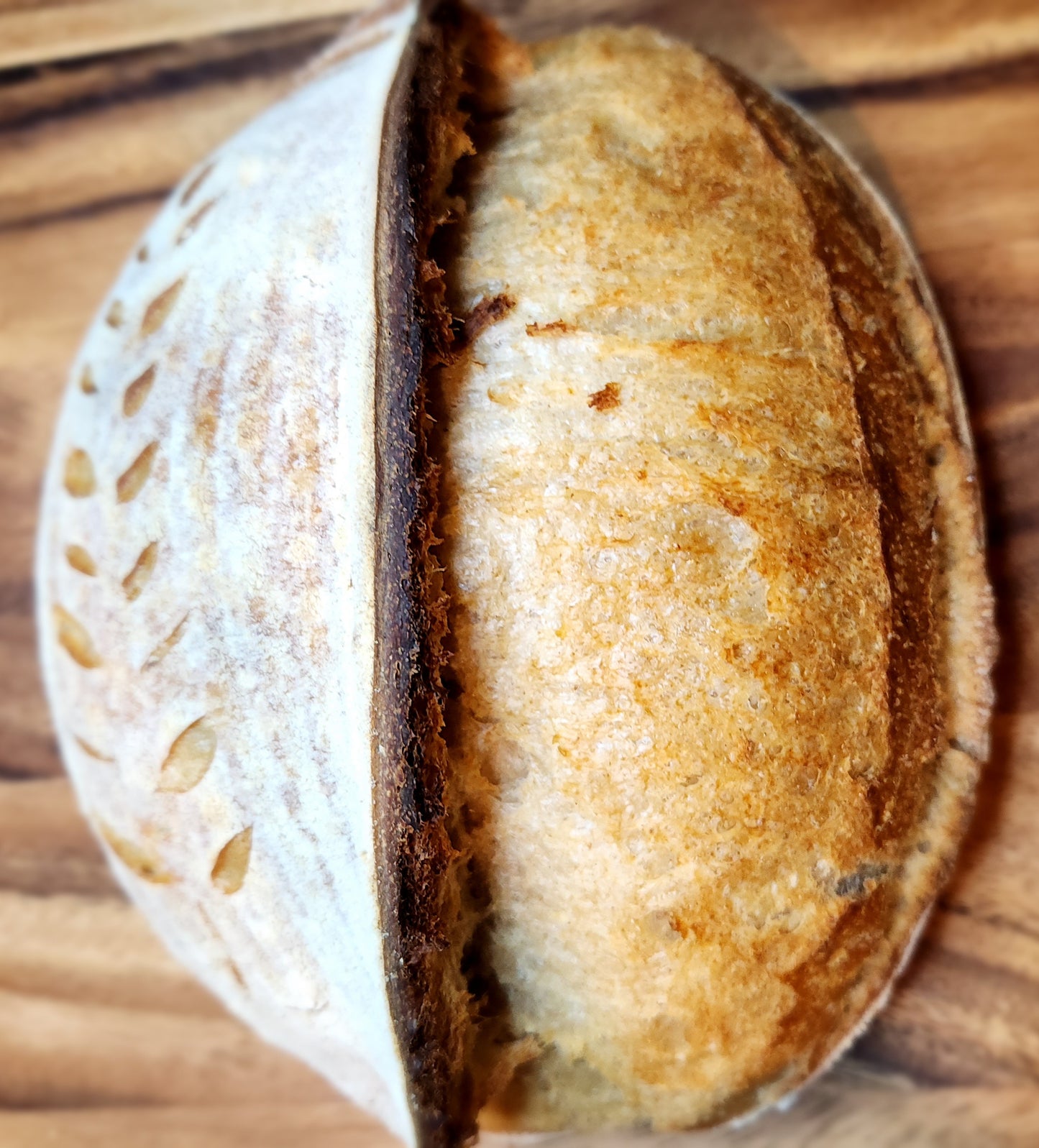 Sourdough Artisan Bread