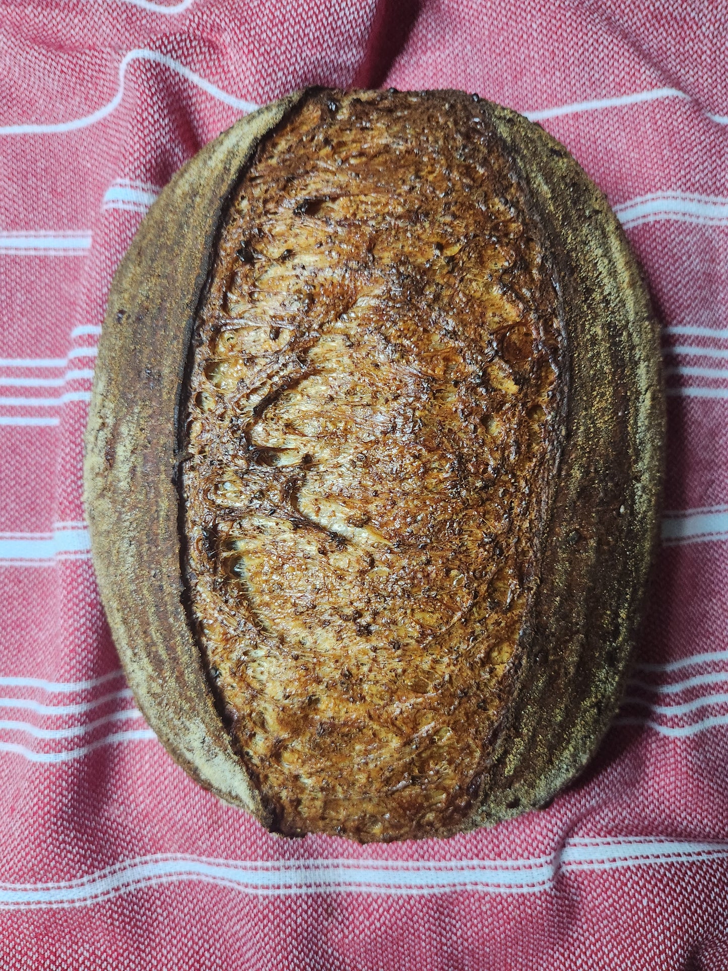 Pain au Gruyère - Whole Wheat Bread