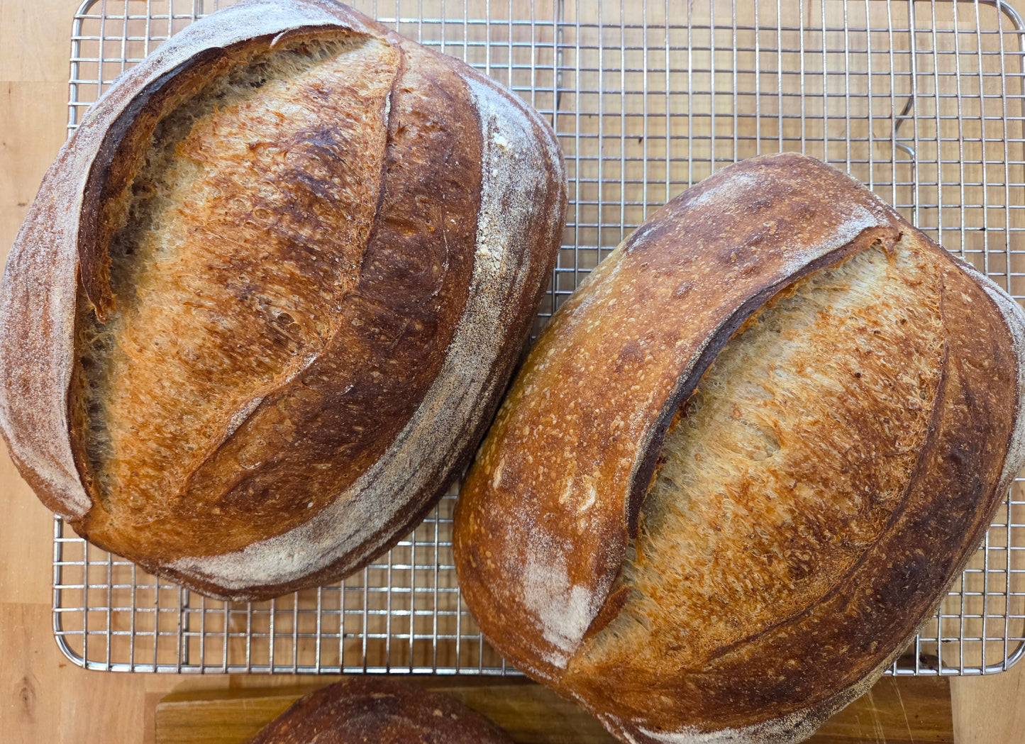 Sourdough Artisan Bread